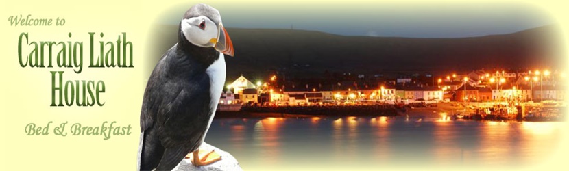 Portmagee Accommodation with Carraig Liath House Bed and Breakfast